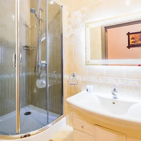 Apartment Alfa Kostyushka 5