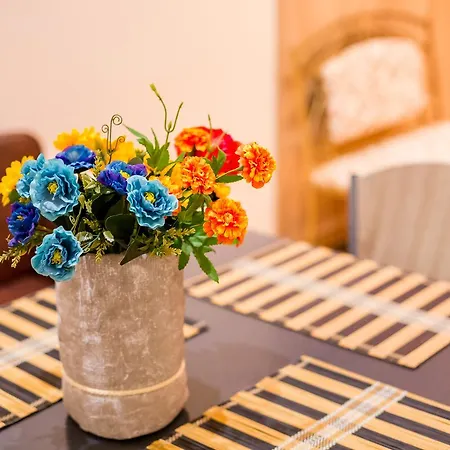 Apartment Alfa Kostyushka 5 *