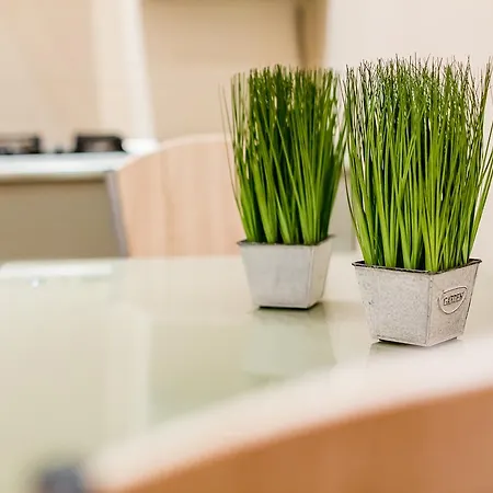 Appartement Alfa Kostyushka 5