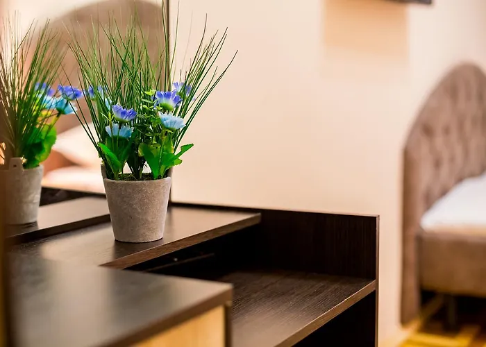 Alfa Kostyushka 5 Lwów