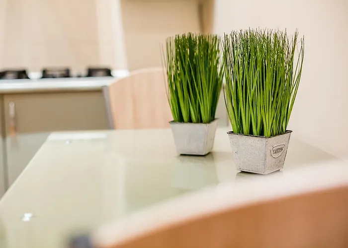 Apartament Alfa Kostyushka 5